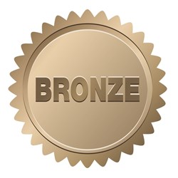 MI-ACE Bronze Sponsorship