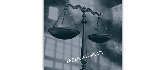 Legislature 101 Webinar
