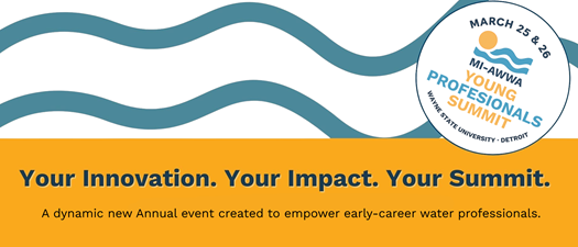 Michigan Section Young Professionals (YP) Summit