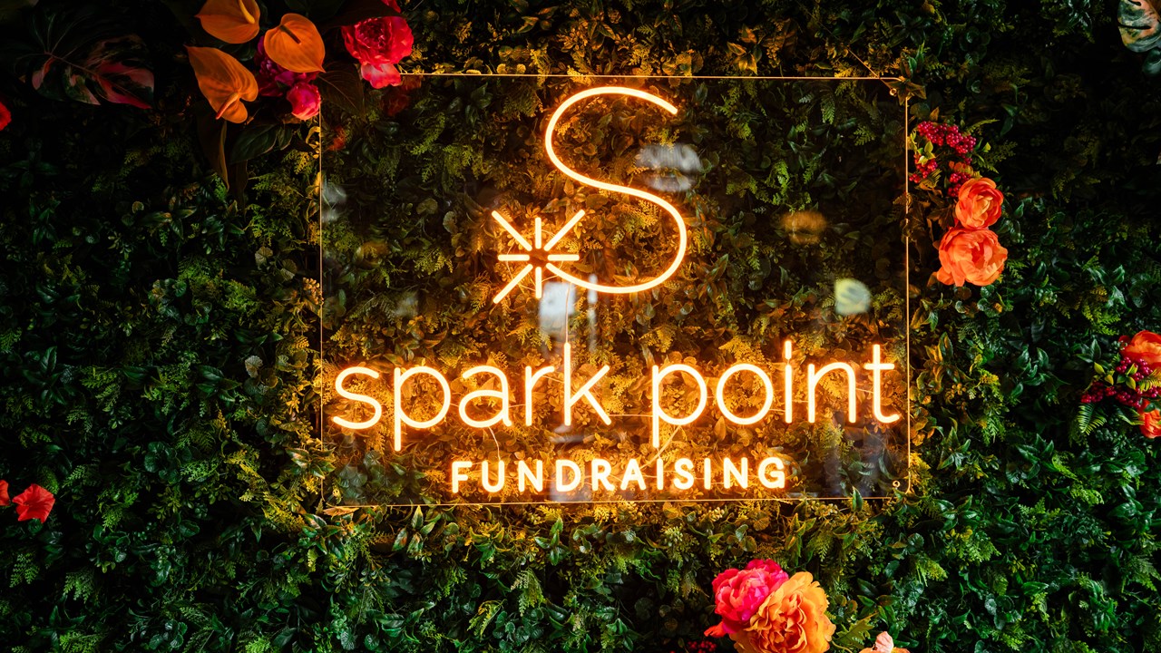 Spark Point Fundraising - 10th Anniversary Celebration Flower Wall