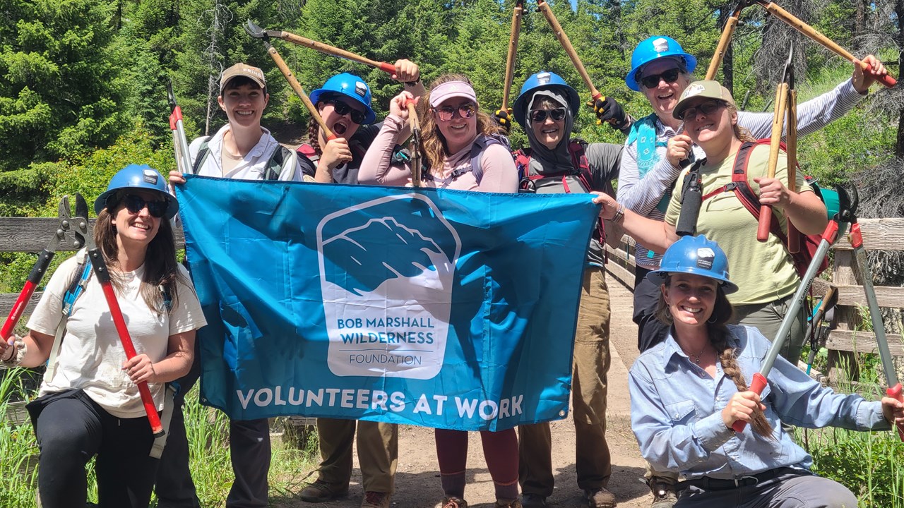 Volunteers at Work
