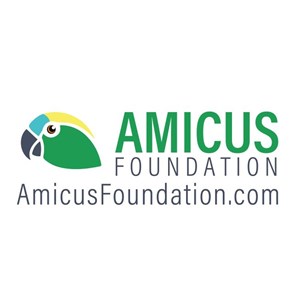 Photo of Amicus Foundation
