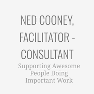 Photo of Ned Cooney, Facilitator & Consultant