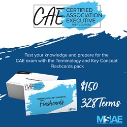 CAE Terminology and Key Concepts Flashcards
