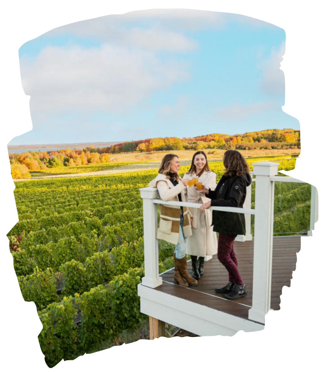 TC Wine Tour