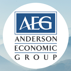 Photo of Anderson Economic Group LLC