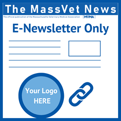 E-Newsletter Logo with Link