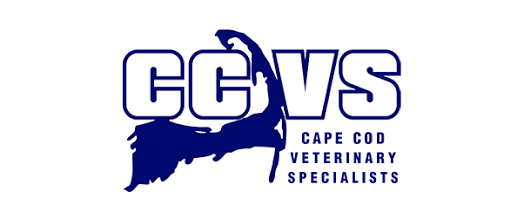 CCVS - The Scoop on Poop: Managing Acute Small Animal Diarrhea