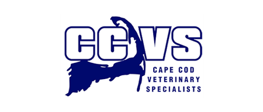 CCVS - Complications in Canine Cranial Cruciate Ligament Surgery