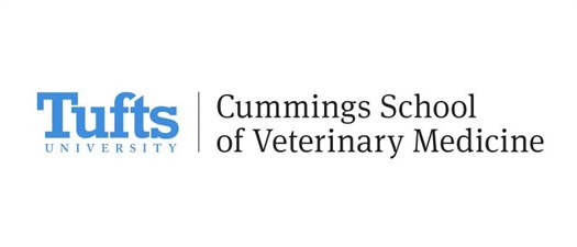 Cummings School of Veterinary Medicine - Timely Topics in Internal Medicine