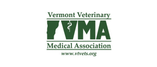 VVMA - Emergency Medicine CE