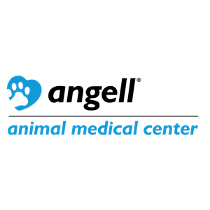 Angell Memorial Animal Hospital - Massachusetts Veterinary Medical  Association