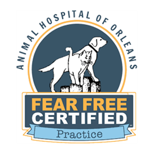 Photo of Animal Hospital of Orleans