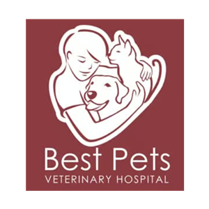 Photo of Best Pets Veterinary Hospital