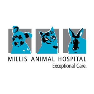 Photo of Millis Animal Hospital