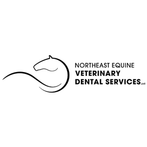 Photo of Northeast Equine Veterinary Dental Services