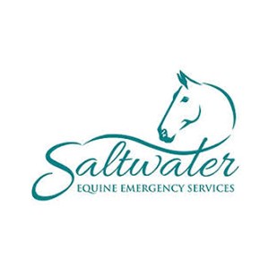 Photo of Saltwater Equine Emergency Services