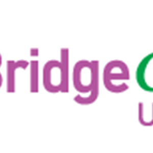 Photo of Bridge Green Upcycle Corp.