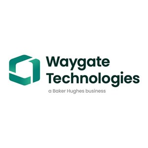 Photo of Waygate Technologoes