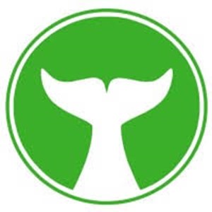 Photo of White Whale Solutions