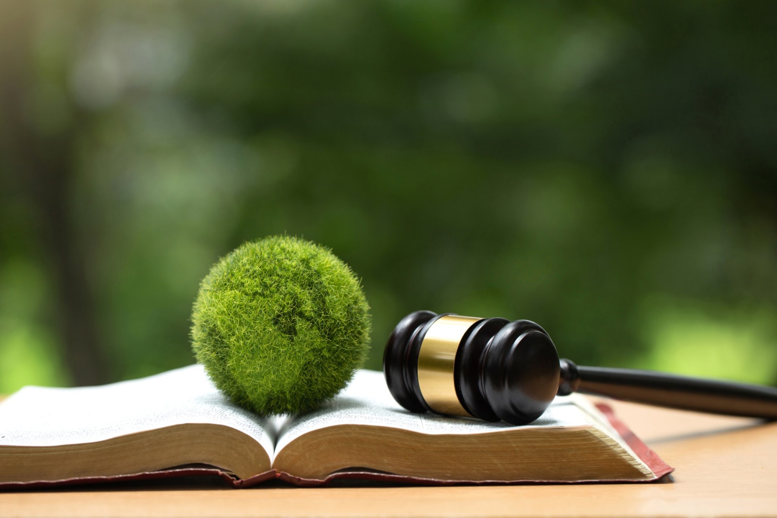 A globe made of moss sitting atop an open book with a gavel on the right in front of a natural background
