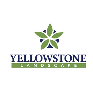 Photo of Yellowstone Landscape