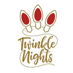 Photo of Twinkle Nights