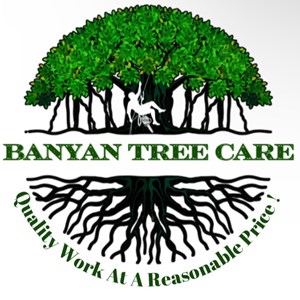 Photo of Banyan Tree Care