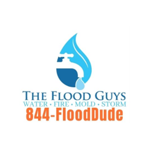 The Flood Guys