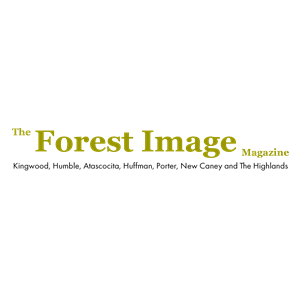 Photo of The Forest Image