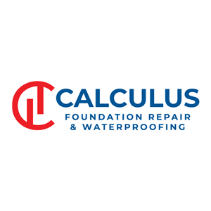 Photo of Calculus Foundation Repair