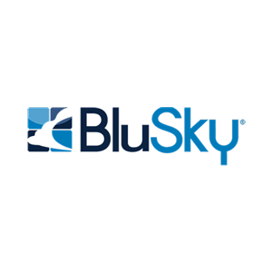 Photo of BluSky Restoration