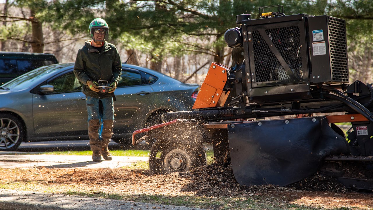 Stump Grinding