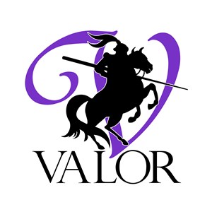 Photo of Valor Mold Removal