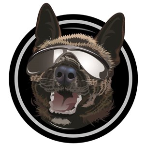 Photo of Gangsta Dog