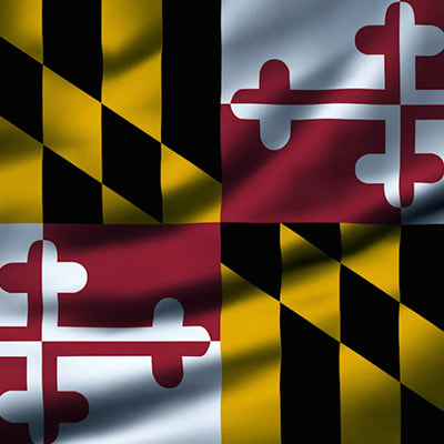 Maryland state flag instead of portrait
