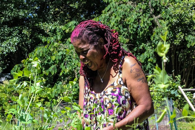 Ma'ta Crawford tends to her teaching garden in Greenville on May 16, 2024.