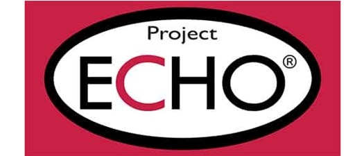 Diabetes in Pregnancy ECHO