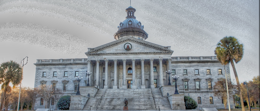 CHW Advocacy Day SC State House Feb 8 2024 Register Now