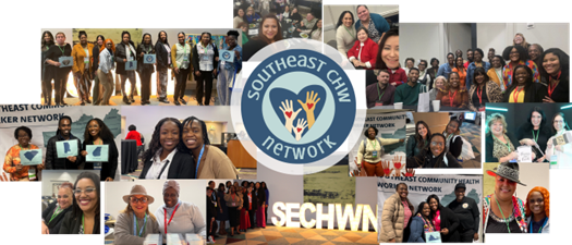 Putting It All Together: A Deeper Dive into the CHW Financial Sustainability Toolkit (CHW FST)