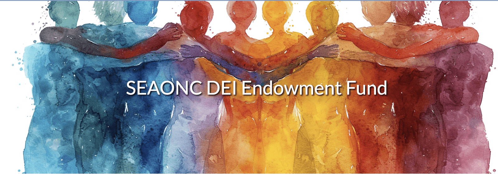 DEI Endowment Fund Banner