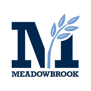 Photo of Meadowbrook School of Weston