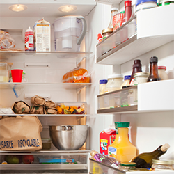 Recommendations for Climate Friendly Refrigerant Management and Procurement