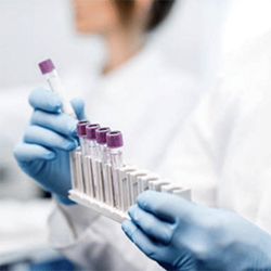 Laboratory Supplies and Services