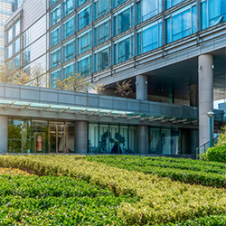Landscaping/Pest Management