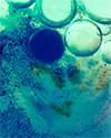 Safer Chemicals Procurement Toolkit