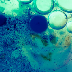 Safer Chemicals Procurement Toolkit