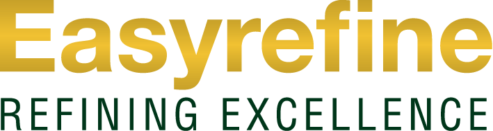 D-MMEX Easyrefine Logo