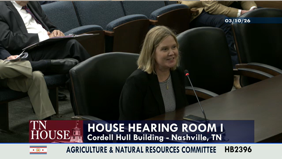 TDA Executive Director Andrea Hayes gives testimony
