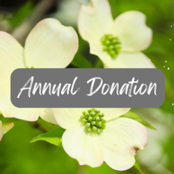 Annual Foundation Fund Donation Subscription